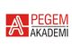 Pegem Akademi Yayınları