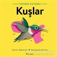 Kuşlar - Tepeden Kuyruğa - Stacey Roderick - Domingo Yayınevi