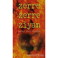 Zerre Zerre Ziyan - Sezer Çalışkanoğ - Aşiyan Yayınları