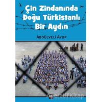 Çin Zindanında Doğu Türkistanlı Bir Aydın - Abdülveli Ayup - İleri Yayınları