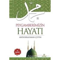 Peygamberimizin Hayatı - Abdurrahman Çetin - Ensar Neşriyat