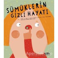 Sümüklerin Gizli Hayatı - Anna Cabre Albos - Abm Yayınevi