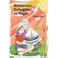 Babaannem, Kurbağalar ve Hayat - Ahmet Büke - Günışığı Kitaplığı