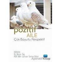 Pozitif Aile - Çok Boyutlu Perspektif - Kolektif - Nobel Akademik Yayıncılık