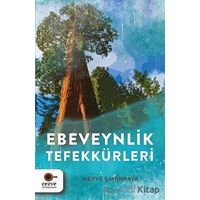 Ebeveynlik Tefekkürleri - Merve Şahinkaya - Cezve Kitap