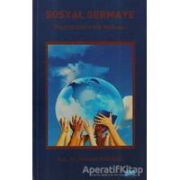 Sosyal Sermaye - Mehmet Karagül - Nobel Akademik Yayıncılık