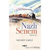 Nazlı Senem - Necdet Ekici - Akçağ Yayınları