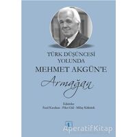 Türk Düşüncesi Yolunda Mehmet Akgün’e Armağan - Kolektif - Aktif Düşünce Yayınları