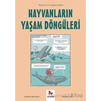 Hayvanların Yaşam Döngüleri - Joseph Midthun - Almidilli