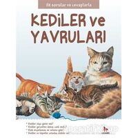 Kediler ve Yavruları - İlk Sorular ve Cevaplarla - Camilla de la Bedoyere - Almidilli