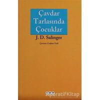 Çavdar Tarlasında Çocuklar - Jerome David Salinger - Yapı Kredi Yayınları