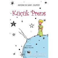Küçük Prens - Antoine de Saint-Exupery - Çınaraltı Yayınları
