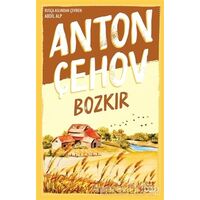 Bozkır - Anton Pavloviç Çehov - Dokuz Yayınları