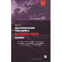 Multidisipliner Yaklaşımla İktisadi Kriz Olgusu - Kolektif - Gazi Kitabevi