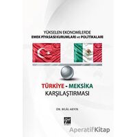 Yükselen Ekonomilerde Emek Piyasası Kurumları ve Politikaları - Türkiye Meksika Karşılaştırması