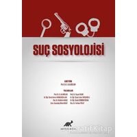 Suç Sosyolojisi - Sevda Fırıncıoğulları - Paradigma Akademi Yayınları
