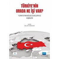 Türkiyenin Orada Ne İşi Var? Türkiyenin Bölge Ülkeleriyle İlişkileri