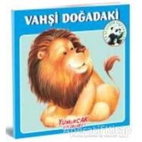 Vahşi Doğadaki En Sevdiğim Hayvanlar Kitabı - Kolektif - Yumurcak Yayınları