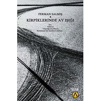 Kirpiklerinde Ay Işığı - Ferman Salmış - Ares Yayınları