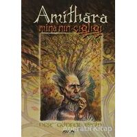 Amithara - Neşe Günfer Bilgin - Arion Yayınevi