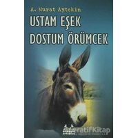 Ustam Eşek Dostum Örümcek - A. Murat Aytekin - Arkadaş Yayınları
