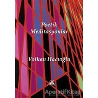 Poetik Meditasyonlar - Volkan Hacıoğlu - Artshop Yayıncılık