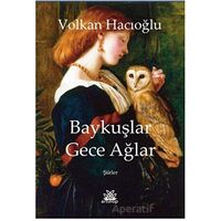 Baykuşlar Gece Ağlar - Volkan Hacıoğlu - Artshop Yayıncılık