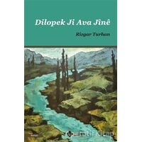 Dilopek Ji Ava Jine - Rizgar Turhan - Aryen Yayınları