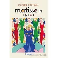 Matissein Işığı - Asuman Portakal - Tudem Yayınları