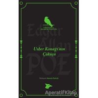 Usber Konağının Çöküşü - Edgar Allan Poe - Alakarga Sanat Yayınları