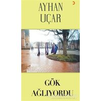 Gök Ağlıyordu - Ayhan Uçar - Cinius Yayınları