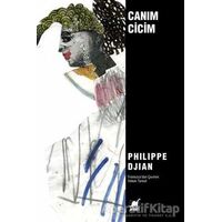 Canım Cicim - Philippe Djian - Ayrıntı Yayınları