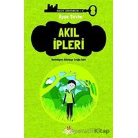 Akıl İpleri - Ayşe Sevim - Düş Değirmeni