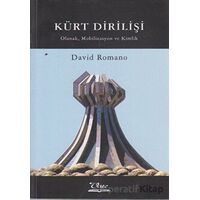 Kürt Dirilişi - David Romano - Vate Yayınevi