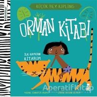 Bebebiyat - Orman Kitabı - Jennifer Adams - Taze Kitap