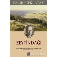 Zeytindağı - Falih Rıfkı Atay - Pozitif Yayınları