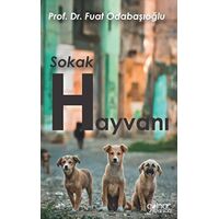 Sokak Hayvanı - Fuat Odabaşıoğlu - Gülnar Yayınları