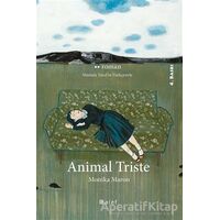 Animal Triste - Monika Maron - Alef Yayınevi