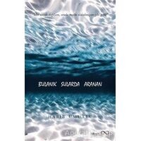 Bulanık Sularda Aranan - Habib Umutlu - Bengisu Yayınları