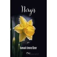 Nergis - İsmail Emre Özer - Bengisu Yayınları