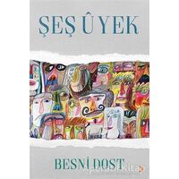 Şeş U Yek - Besni Dost - Cinius Yayınları