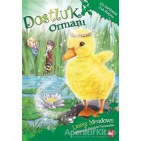 Dostluk Ormanı-3 / Eli Sarıkanat Tek Başına - Daisy Meadows - Beyaz Balina Yayınları