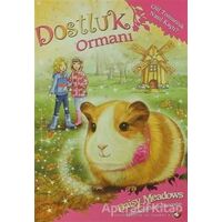 Dostluk Ormanı - 8 / Gül Tomurcuk Nasıl Kaçtı? - Daisy Meadows - Beyaz Balina Yayınları