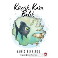 Küçük Kara Balık - Samed Behrengi - Beyaz Balina Yayınları