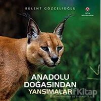 Anadolu Doğasından Yansımalar - Bülent Gözcelioğlu - TÜBİTAK Yayınları