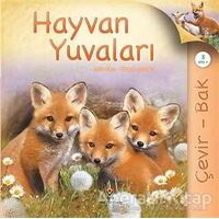 Çevir Bak Hayvan Yuvaları - Judy Allen - TÜBİTAK Yayınları