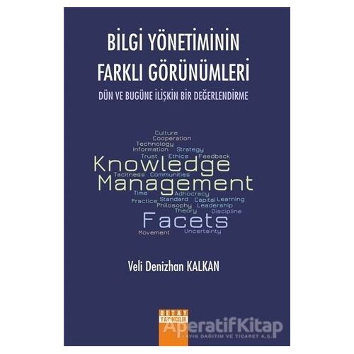 Bilgi Yönetiminin Farklı Görünümleri - Veli Denizhan Kalkan - Detay Yayıncılık