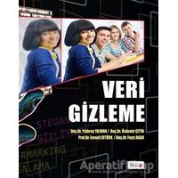 Veri Gizleme - Özdemir Çetin - Beta Yayınevi