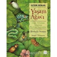 Yaşam Ağacı - Rochelle Strauss - İletişim Yayınevi