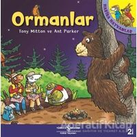 Ormanlar - Harika Hayvanlar - Ant Parker - İş Bankası Kültür Yayınları